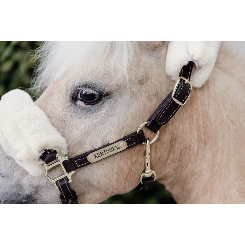 Kentucky Leather Halter in Sheepskin-1