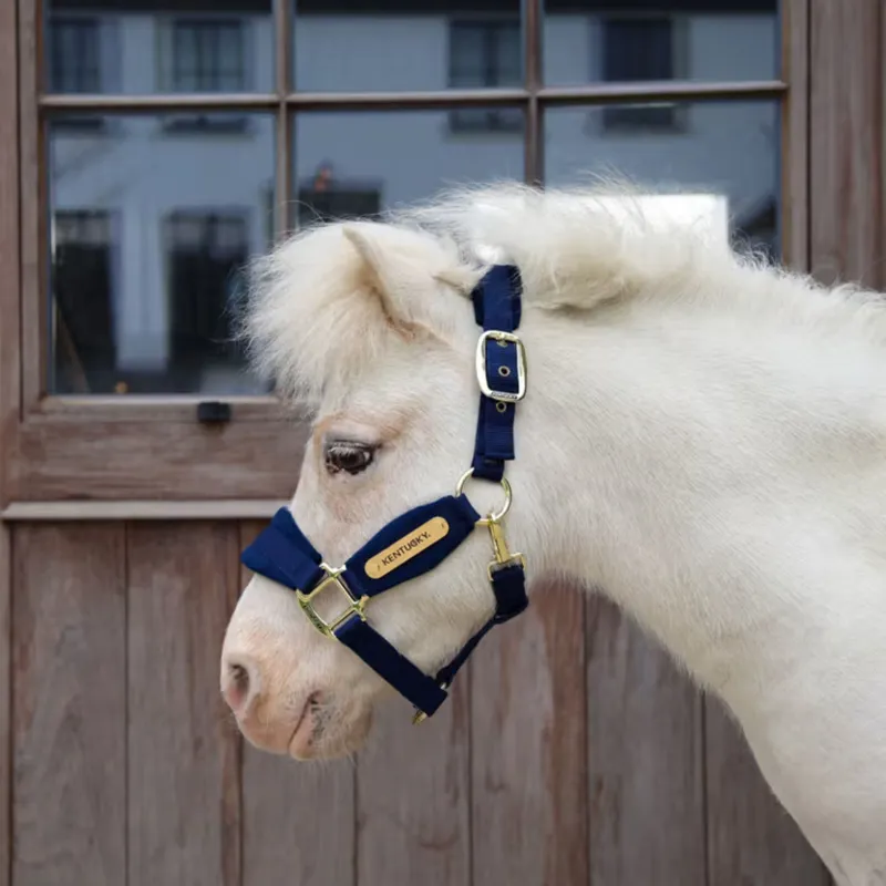 Kentucky Velvet Halter in Navy-1