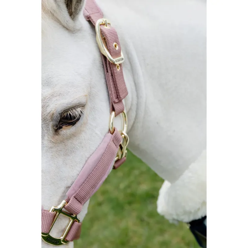 Kentucky Velvet Halter in Old Rose-2