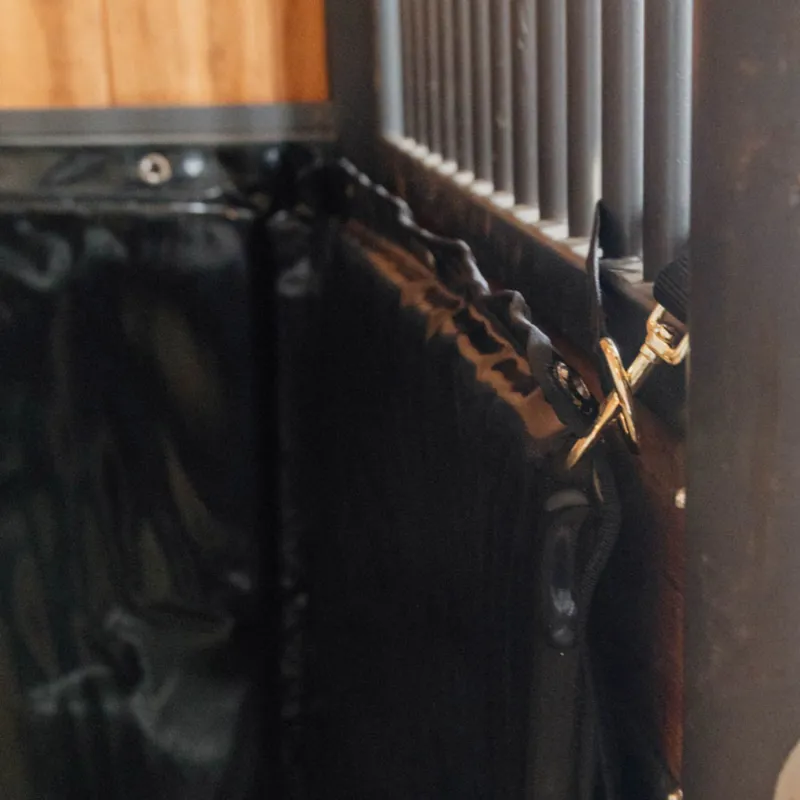 Kentucky Nylon Holder Hook and Ring in Black-1