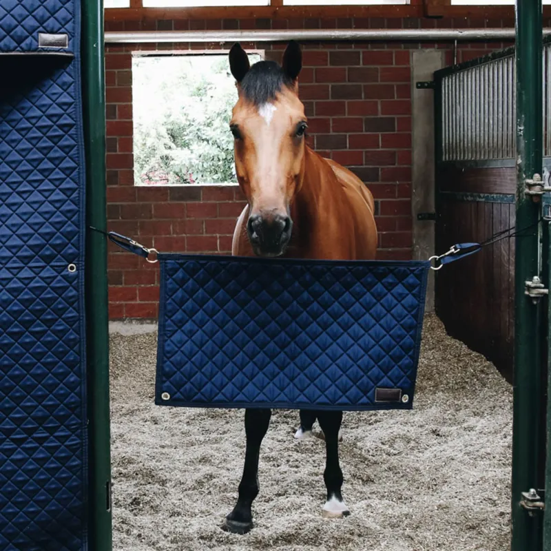 Kentucky Stable Guard in Navy-1