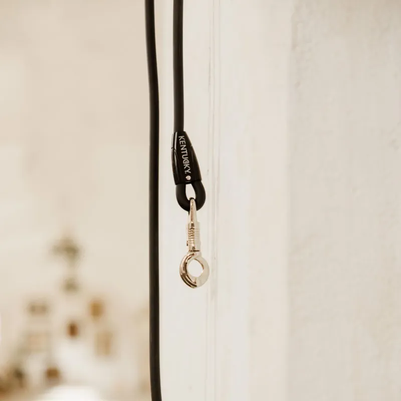 Kentucky Horsebox Cross Tie Lead in Black-1