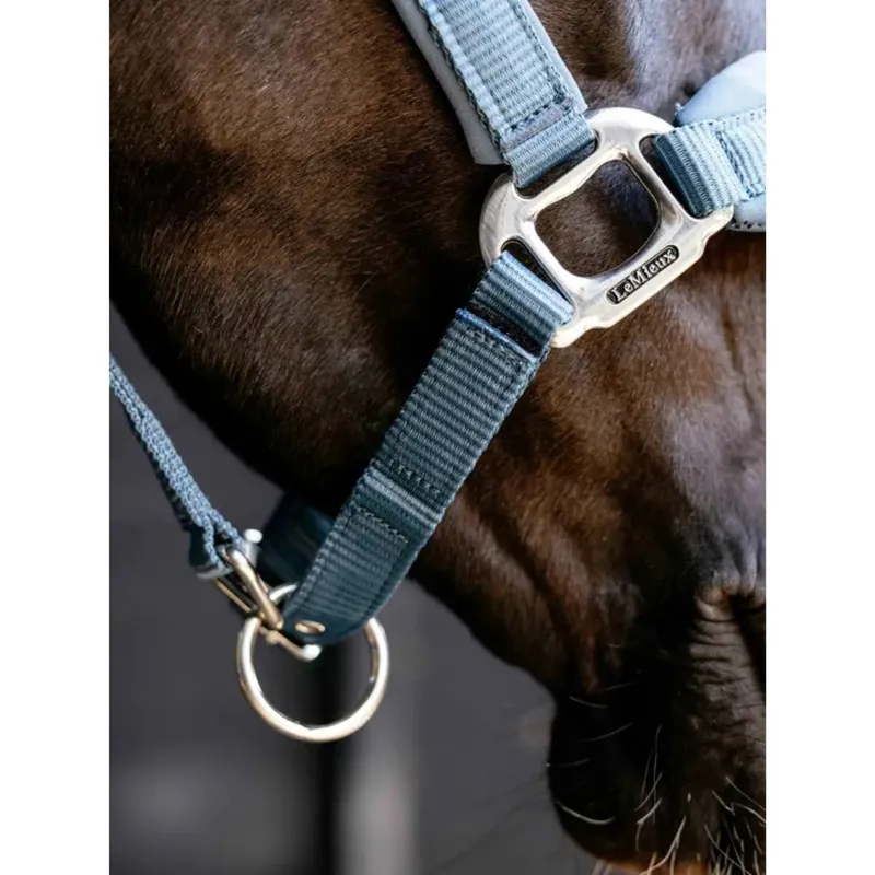 LeMieux Breakaway Vogue Headcollar in Ice Blue-3