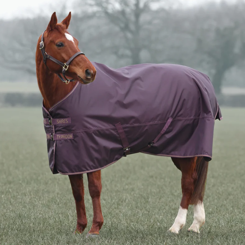 Shires Typhoon Original 100g Turnout Rug in Black and Cherry