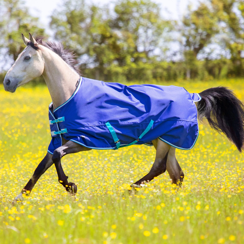 Tempest Original 100 Turnout Rug in Navy-1