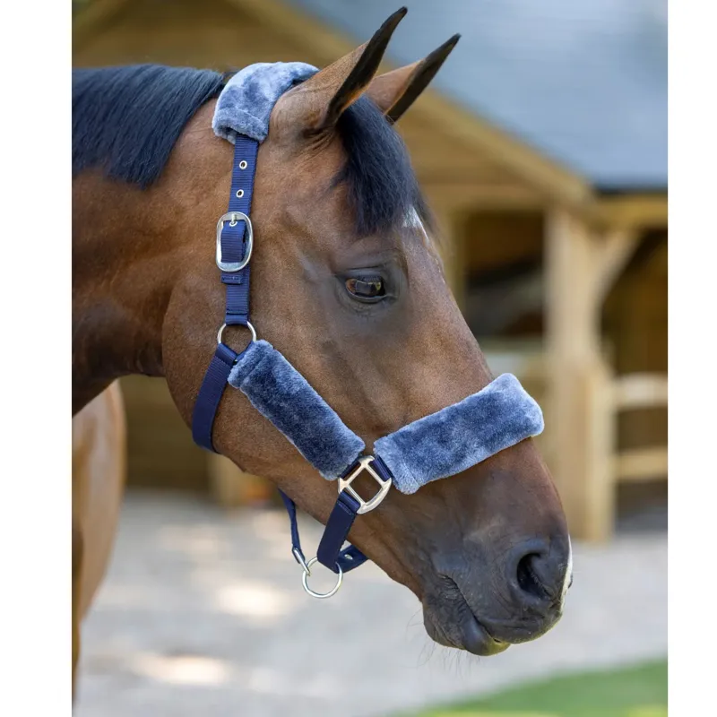 LeMieux Comfort Fleece Headcollar in Navy-1
