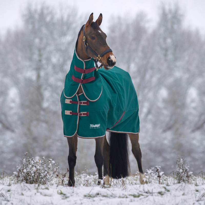 Tempest Original 200 Turnout Rug and Neck Set in Green-1