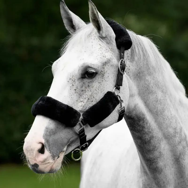 LeMieux Comfort Fleece Headcollar in Black-1