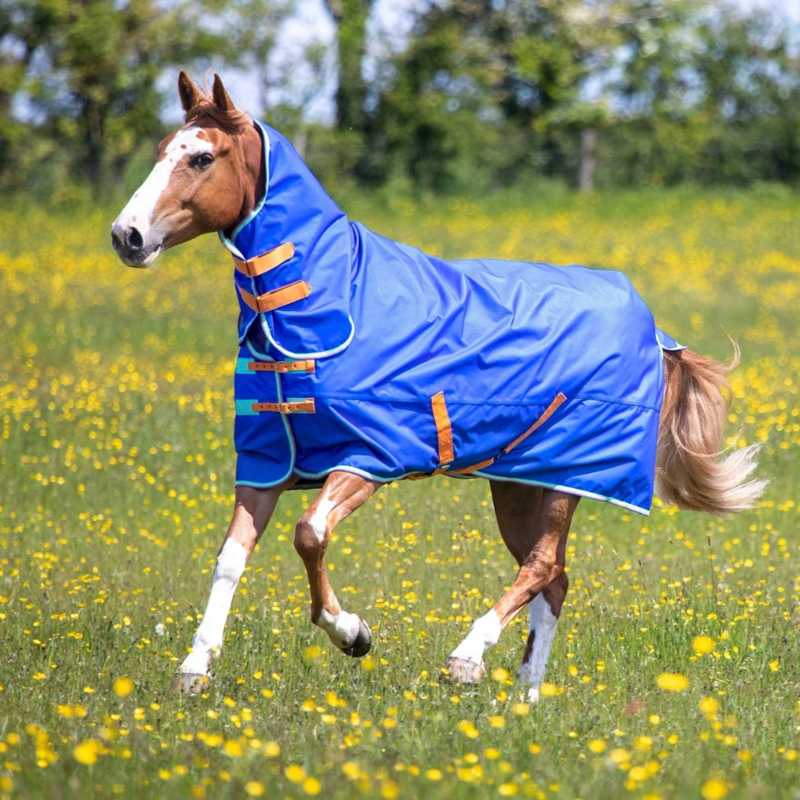 Tempest Original 50 Combo Turnout Rug in Royal Blue-1