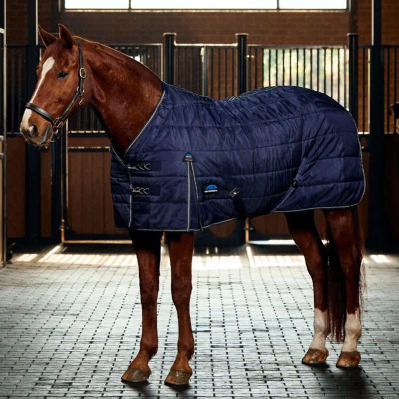 Weatherbeeta Comfitec PP Channel Qulit Stable Detach-a-Neck 220g Rug in Navy/Charcoal-1