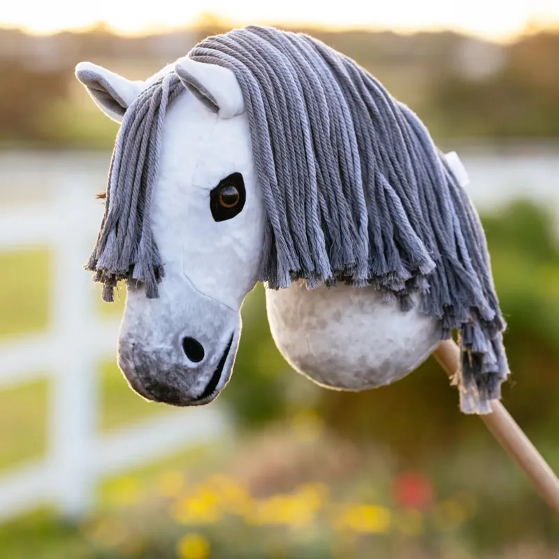 LeMieux Hobby Horse Earl -1