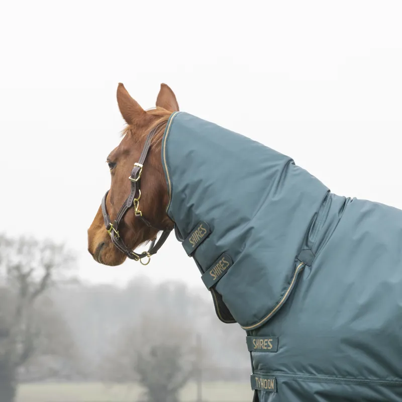 Typhoon 200 Combo Turnout Rug In Green -1