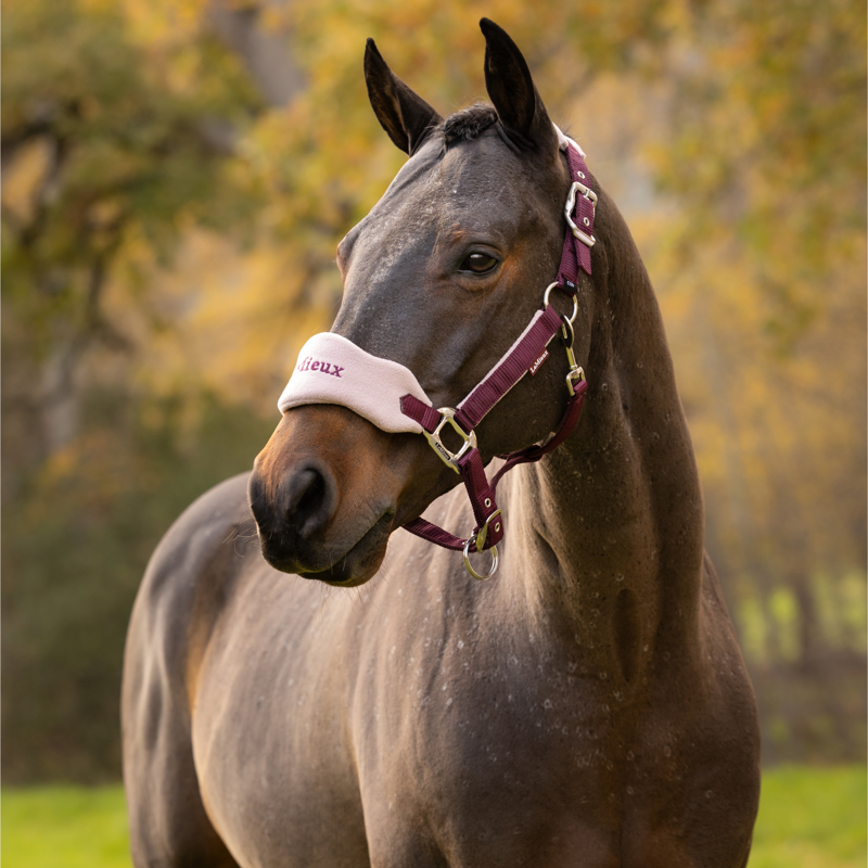 LeMieux Vogue Headcollar and Leadrope in Blackberry-2