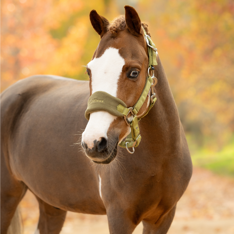 LeMieux Vogue Headcollar and Leadrope in Gooseberry-2