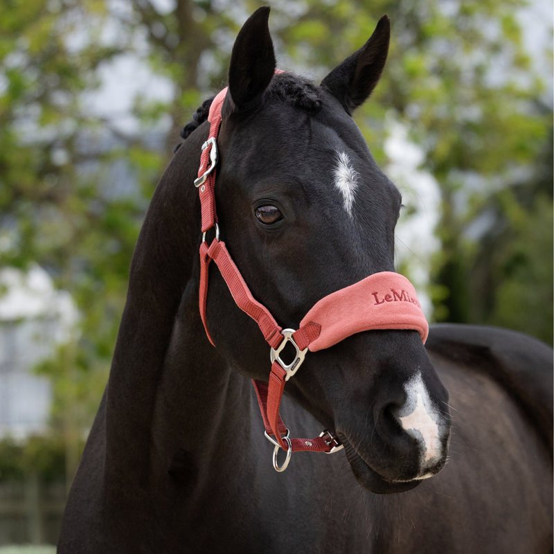 LeMieux Vogue Headcollar and Leadrope in Russet-2