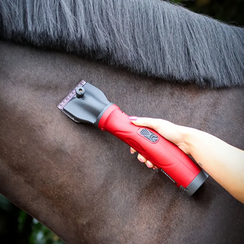 Liveryman Phoenix Clipper-2