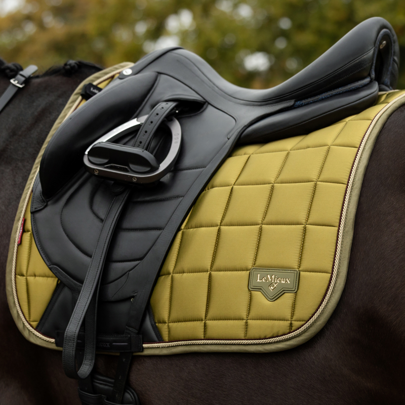 LeMieux Loire Classic Dressage Square in Gooseberry-2
