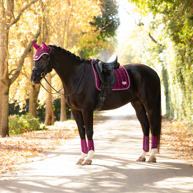 LeMieux Loire Classic Dressage Square in Blackberry-1