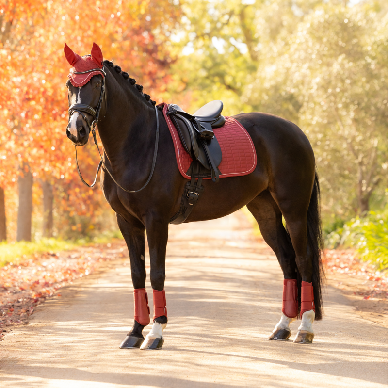 LeMieux Suede Dressage Square in Russet-1
