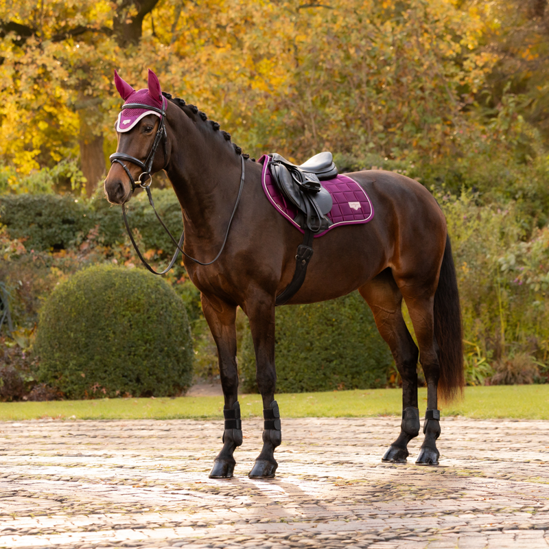 LeMieux Loire Classic Close Contact Square in Blackberry-1