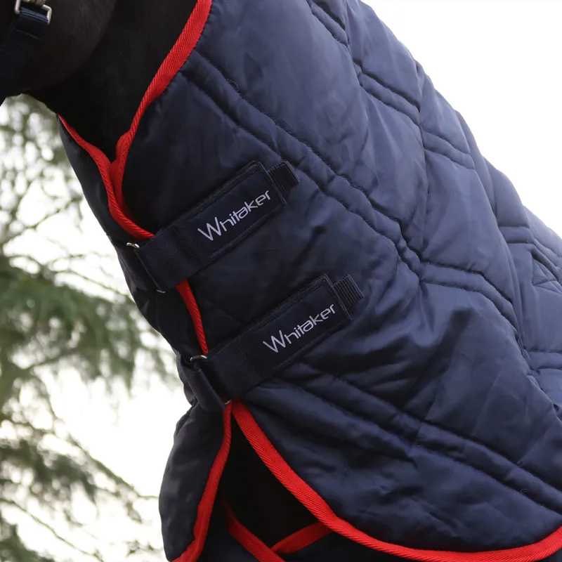 Whitaker Rastrick V2 250g Combo Stable Rug in Navy-2