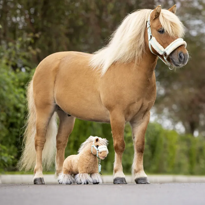 LeMieux Toy Pony Cloudy-3