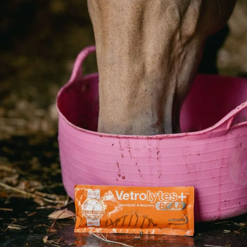 Vetrolytes PLUS Sachet 60ml-2