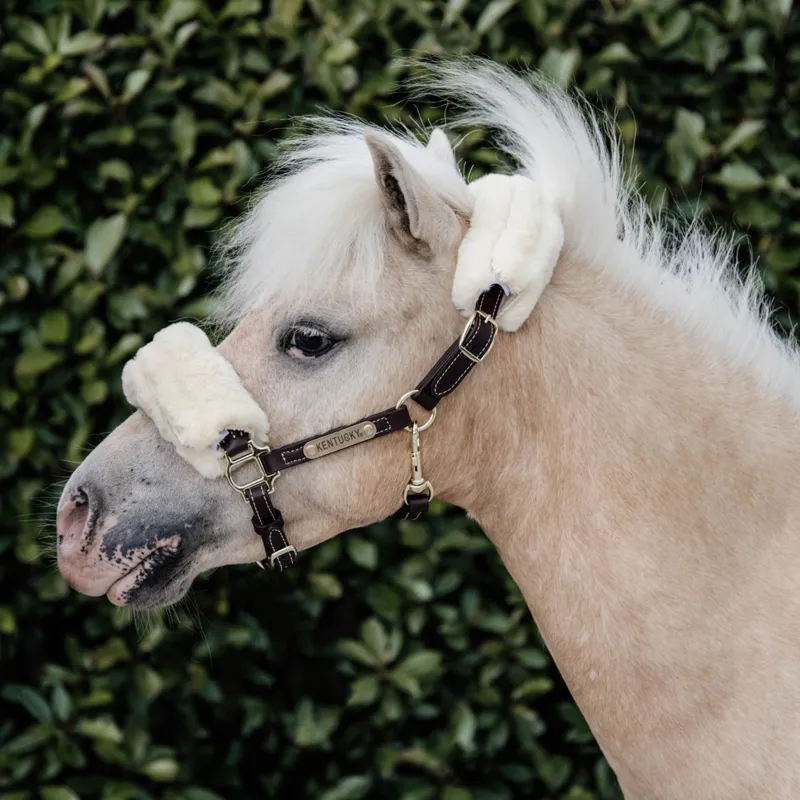 Kentucky Leather Halter in Sheepskin-2