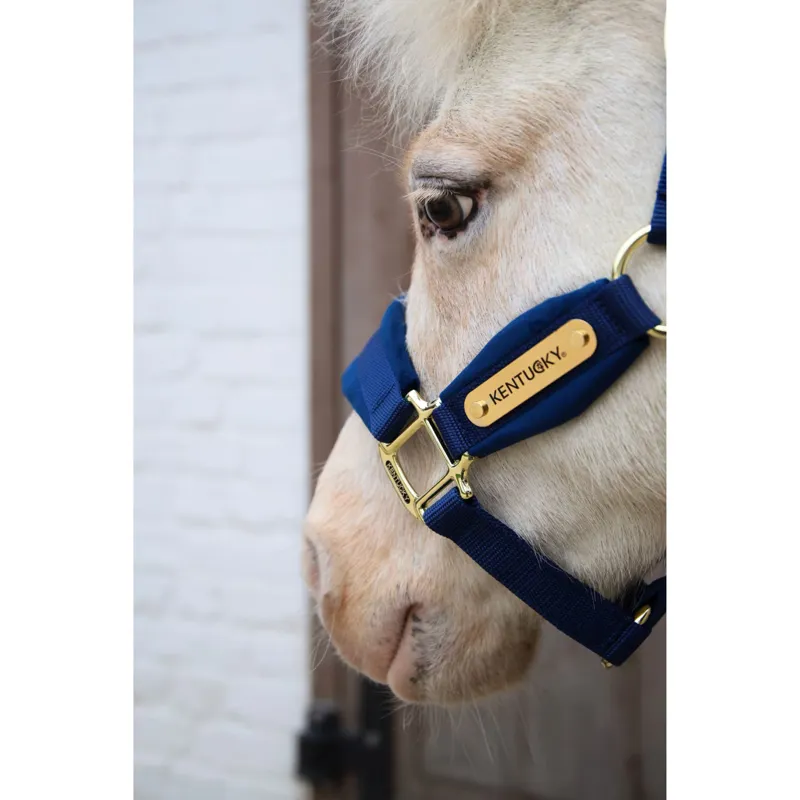 Kentucky Velvet Halter in Navy-2