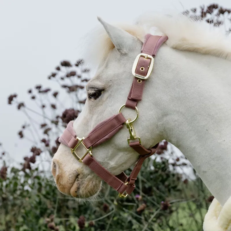 Kentucky Velvet Halter in Old Rose-1
