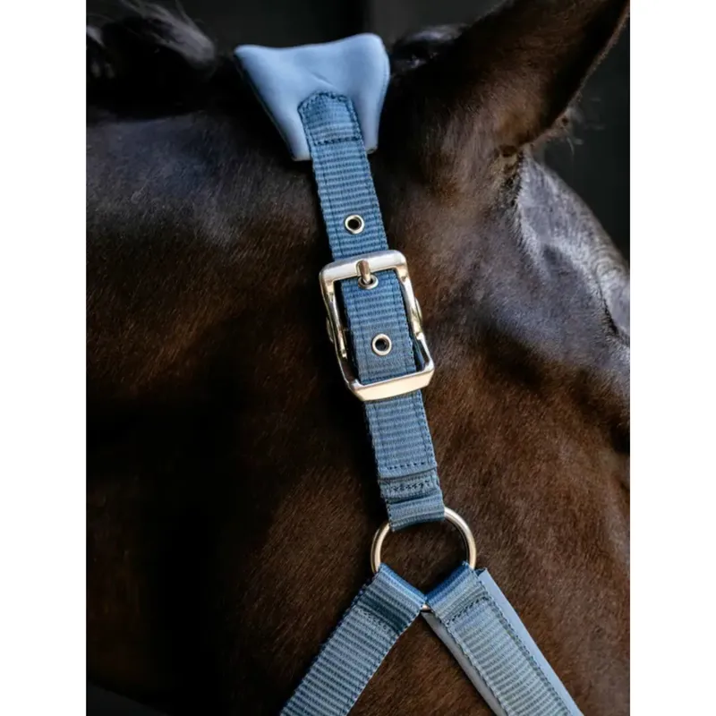 LeMieux Breakaway Vogue Headcollar in Ice Blue-2
