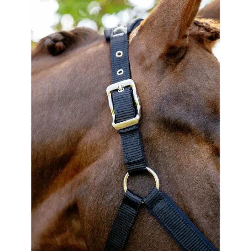 LeMieux Breakaway Vogue Headcollar in Black-3