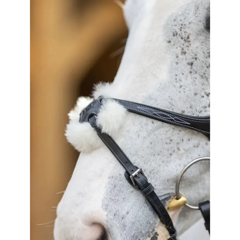 LeMieux Kudos Grackle Bridle in Black-2