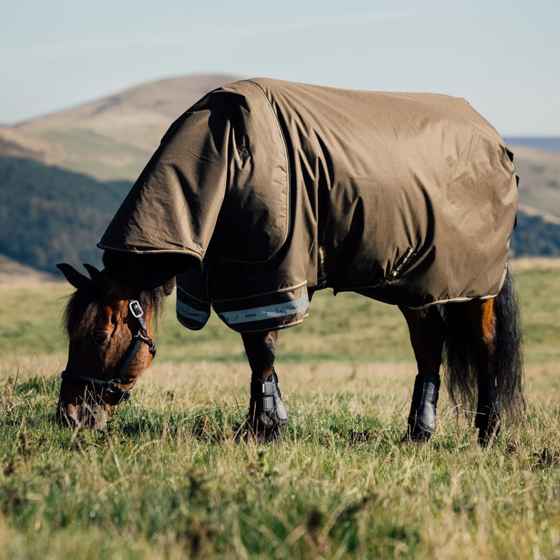 LeMieux Arika Ripstop 50g Turnout Rug in Alpine-1