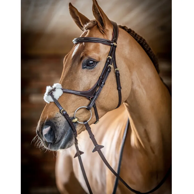 LeMieux Kudos Grackle Bridle in Brown-1