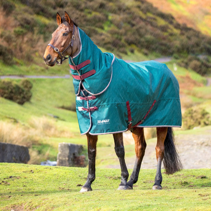 Tempest Original 200 Turnout Rug and Neck Set in Green-2