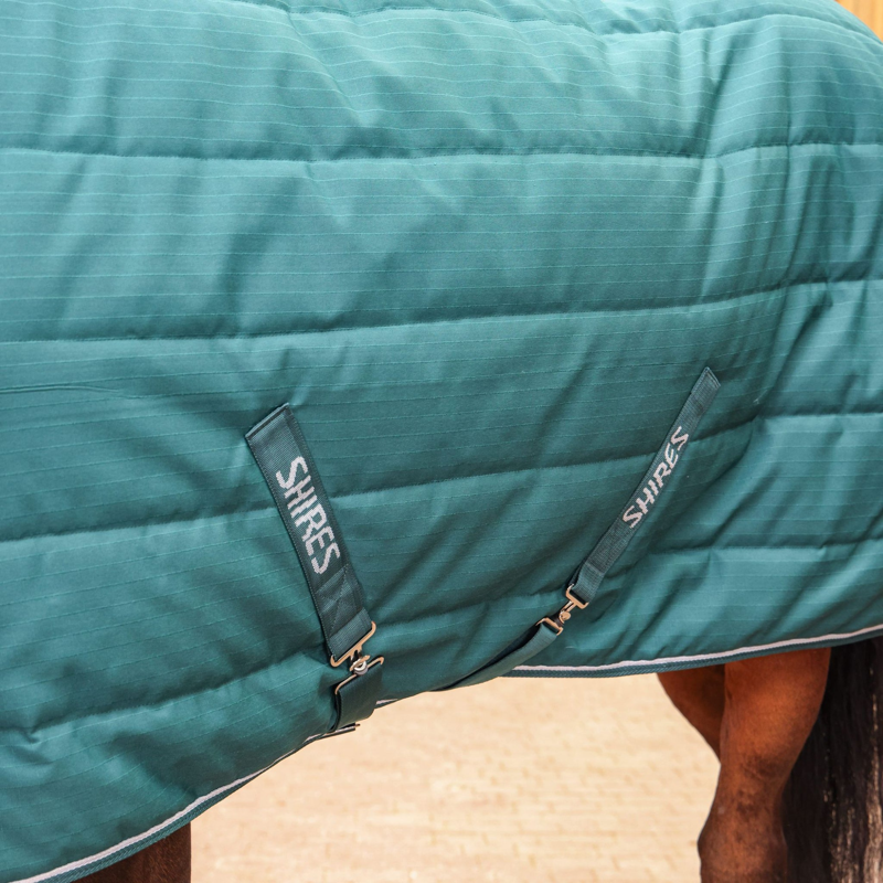 Tempest Original 200 Stable Rug in Emerald-2