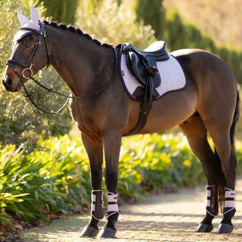 LeMieux Suede GP Square in Lilac-2