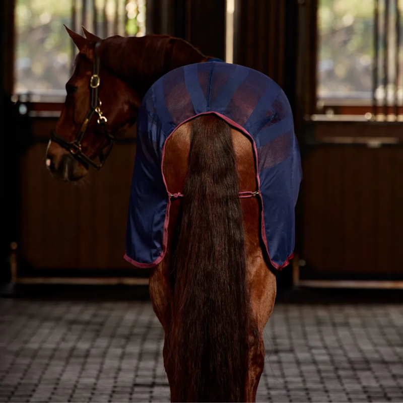 Weatherbeeta Scrim Cooler Standard Rug In Navy/Burgundy-2