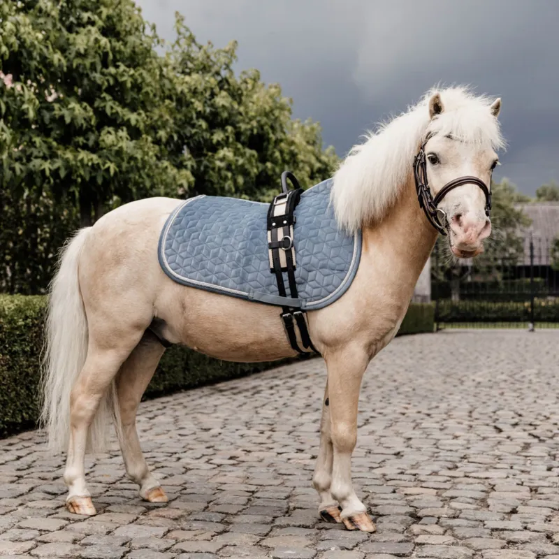 Kentucky Jumping Saddle Pad Velvet in Light Blue-1