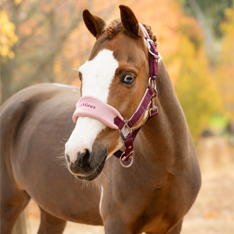 LeMieux Vogue Headcollar and Leadrope in Blackberry-3