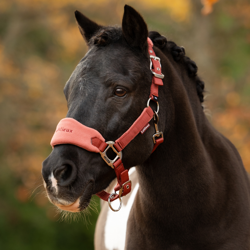 LeMieux Vogue Headcollar and Leadrope in Russet-4