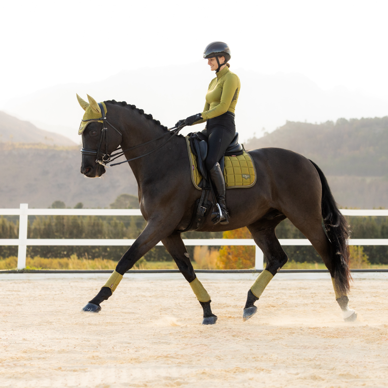 LeMieux Loire Classic Dressage Square in Gooseberry-3