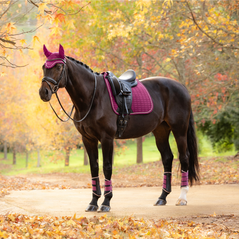 LeMieux Suede Dressage Square in Blackberry-3