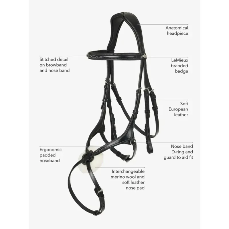 LeMieux Kudos Grackle Bridle in Black-3