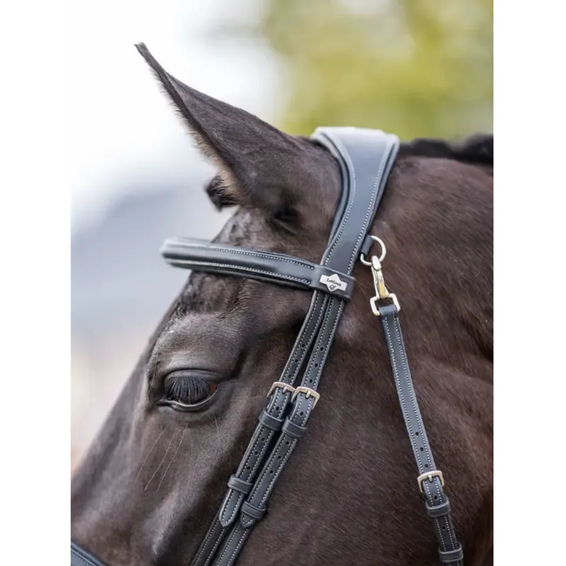 LeMieux Kudos Work Bridle in Black-3