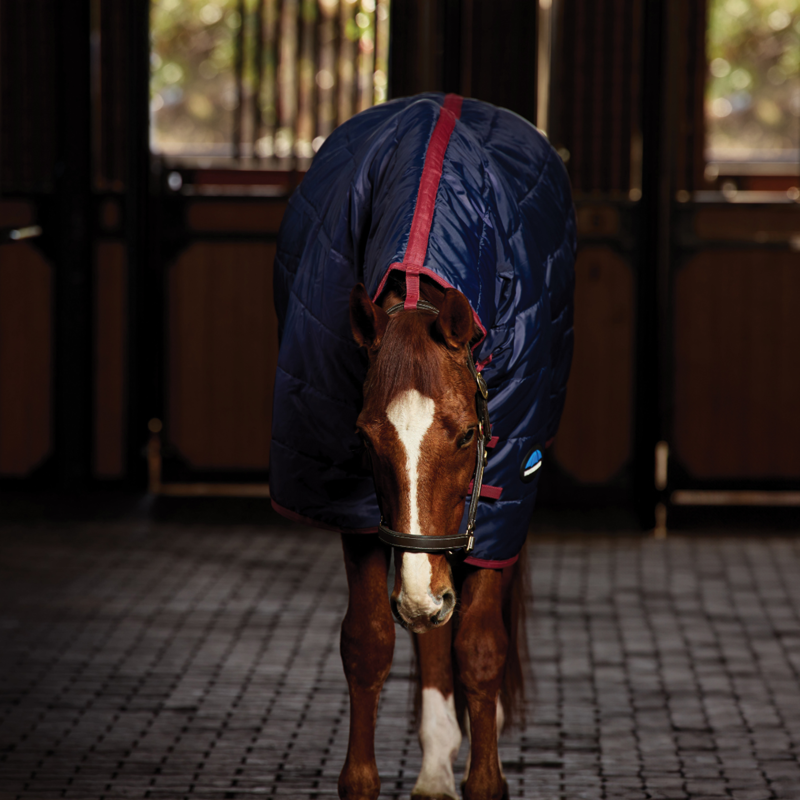 Weatherbeeta Comfitec 210D Channel Quilt Stable Combo 360g Rug in Navy/Burgundy-3