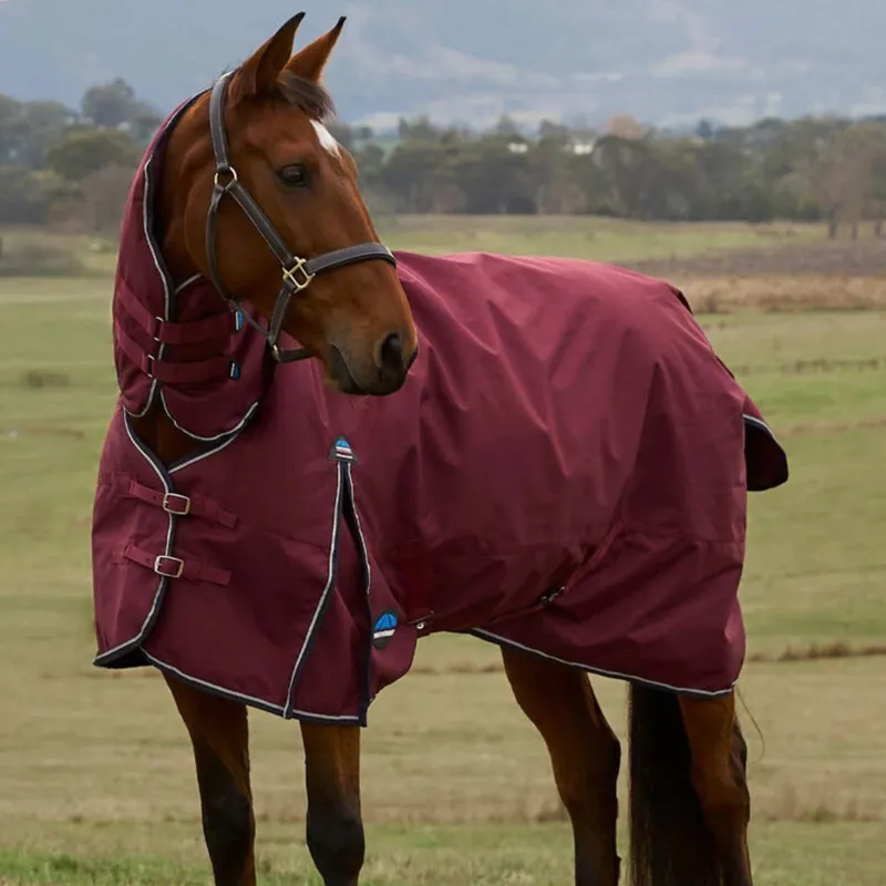 Weatherbeeta Comfitec Prelim Turnout Combo 220g Rug in Burgundy/Navy-3