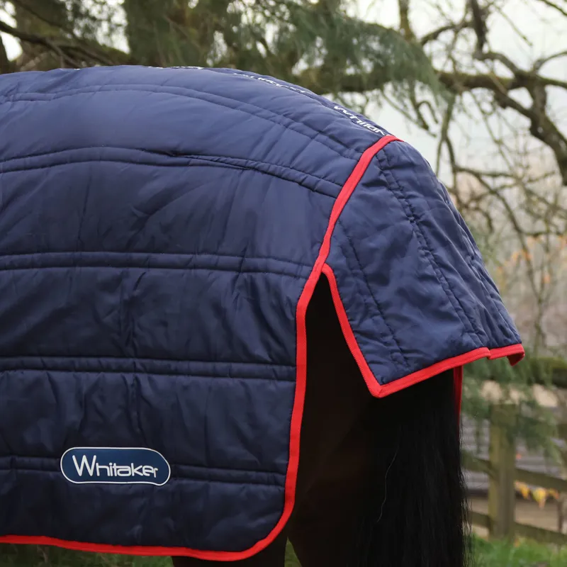 Whitaker Rastrick V2 250g Combo Stable Rug in Navy-3