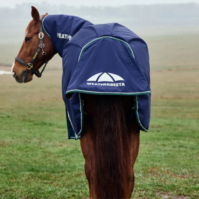 Weatherbeeta Comfitec Plus Dynamic Detach-a-Neck 220g  Rug In Navy/ Forest Green-3